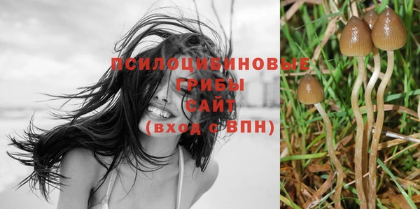 ПСИЛОЦИБИНОВЫЕ ГРИБЫ Липки