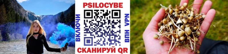 Псилоцибиновые грибы MAGIC MUSHROOMS  hydra ссылка  Наволоки 